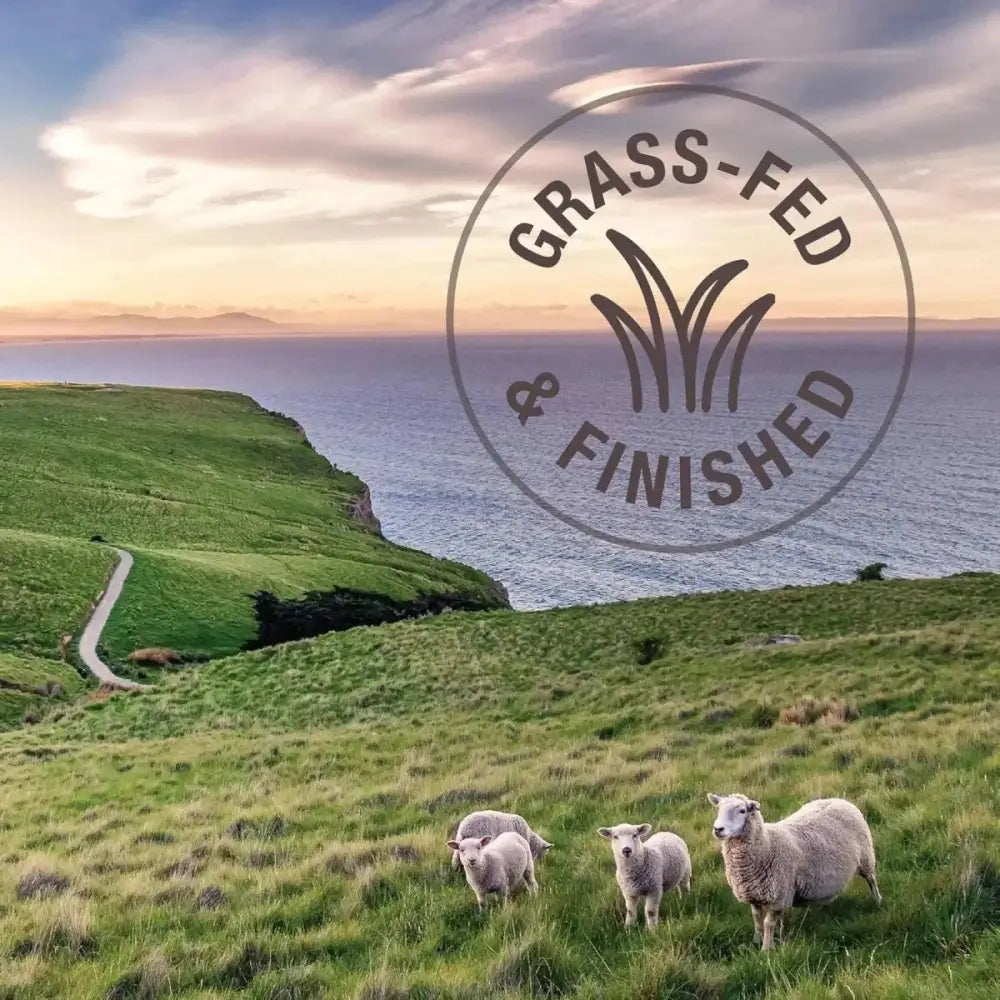 K9 Natural Healthy Bites Chicken Freeze - Dried Dog Treats 1.76oz - Talis Us