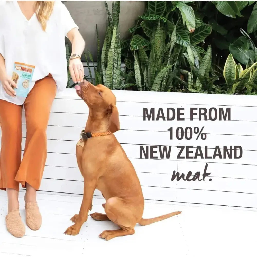 K9 Natural Healthy Bites Chicken Freeze - Dried Dog Treats 1.76oz - Talis Us