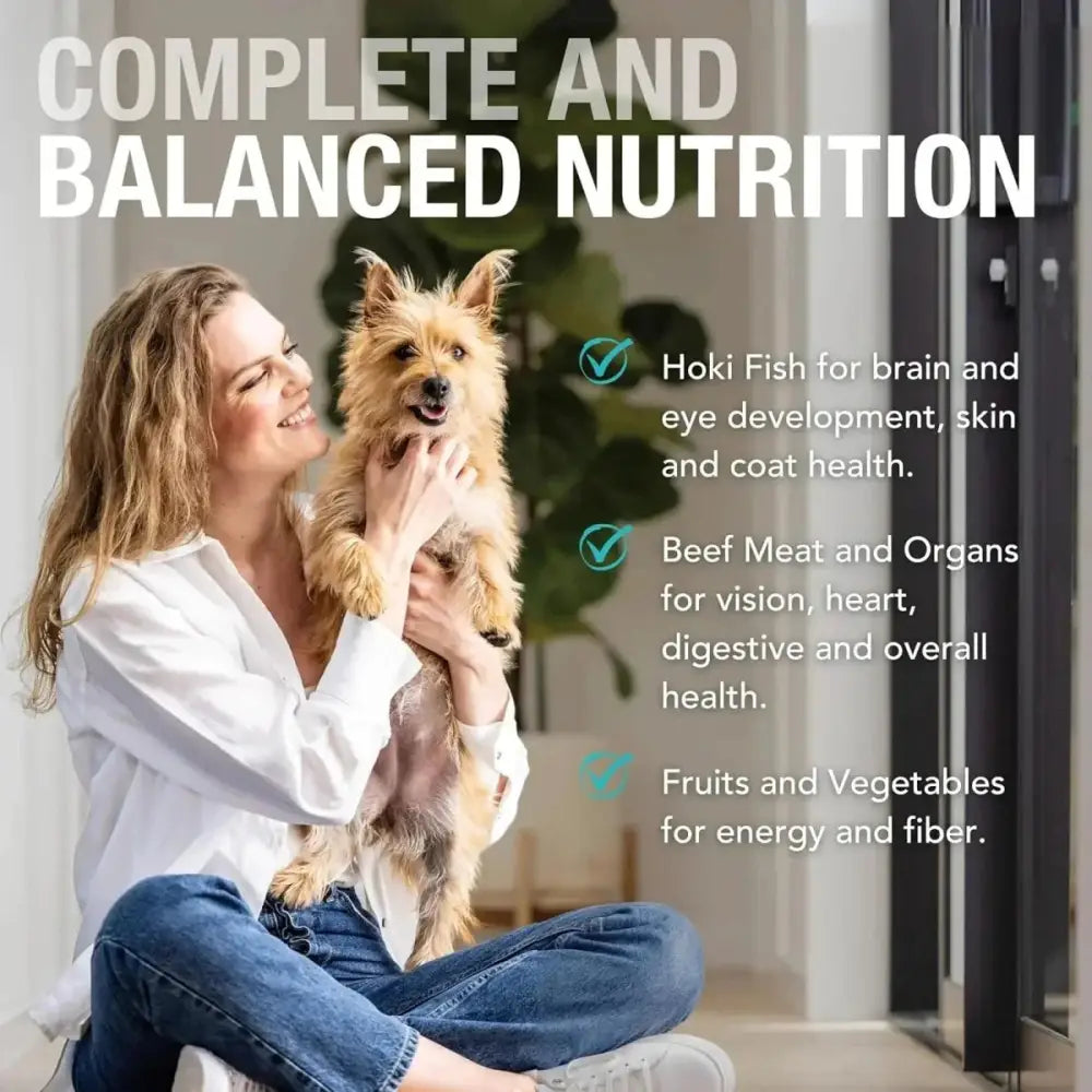 K9 Natural Hoki & Beef Grain - Free Canned Dog Food - Talis Us