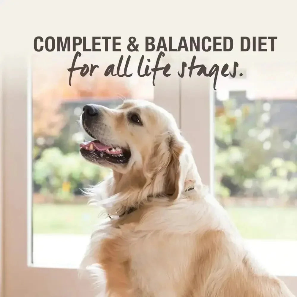 K9 Natural Hoki & Beef Grain - Free Freeze - Dried Dog Food - Talis Us