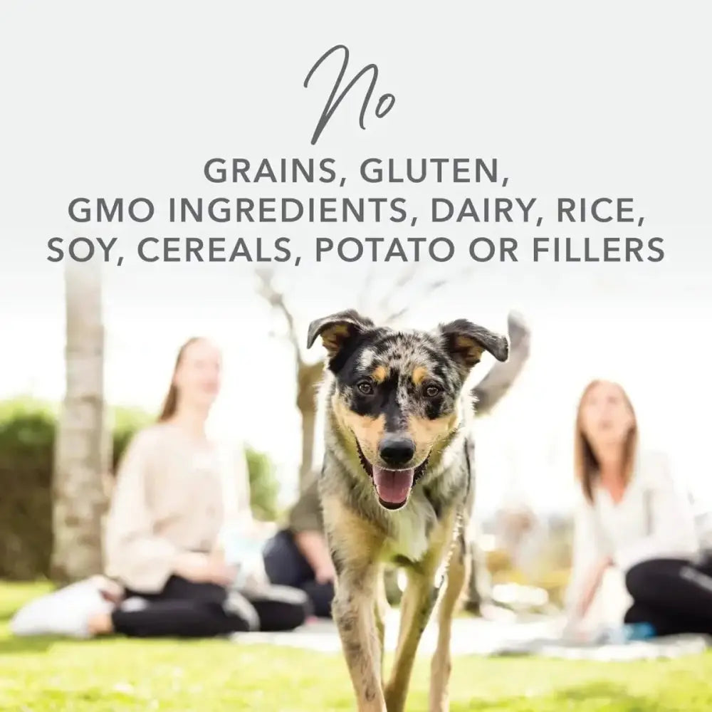 K9 Natural Hoki & Beef Grain - Free Freeze - Dried Dog Food - Talis Us