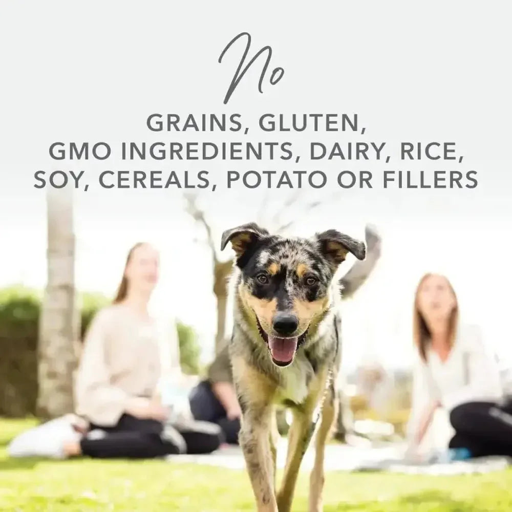 K9 Natural Hoki & Beef Grain - Free Freeze - Dried Dog Food Topper - Talis Us