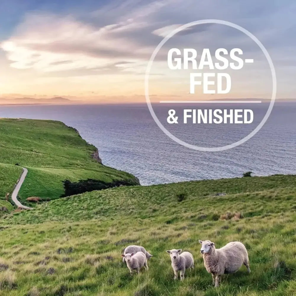 K9 Natural Lamb Feast Raw Grain - Free Freeze - Dried Dog Food - Talis Us