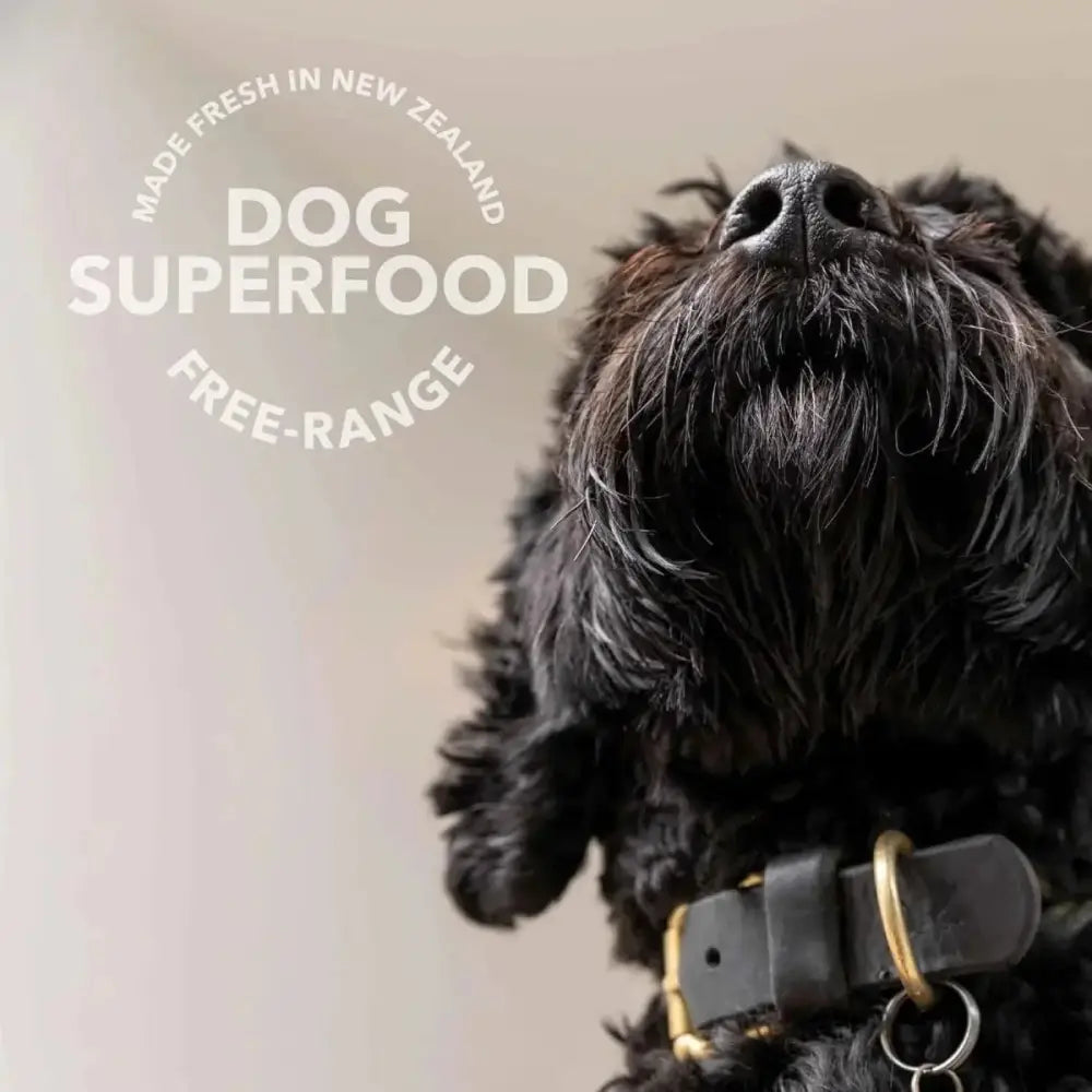 K9 Natural Lamb Green Tripe Booster Digestive Supplement for Dogs - Talis Us