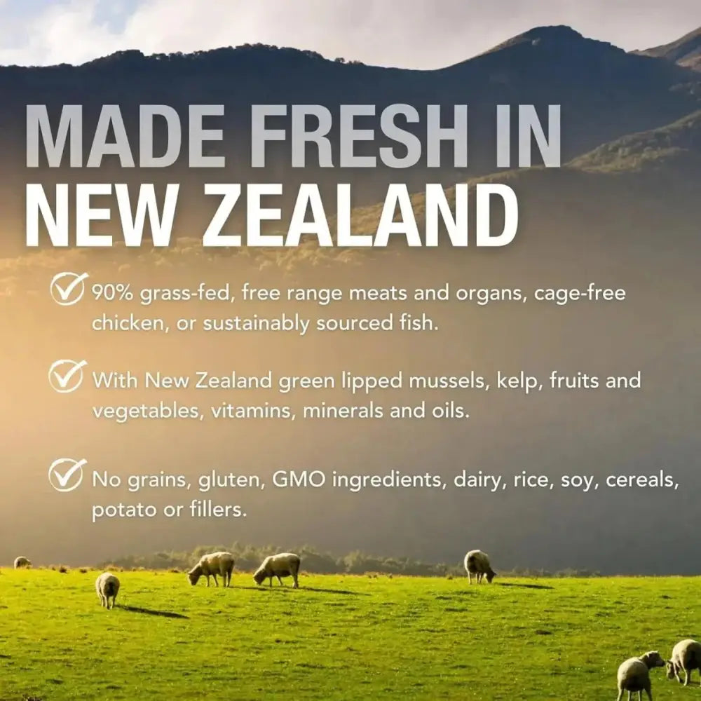 K9 Natural Lamb & King Salmon Grain - Free Canned Dog Food - Talis Us