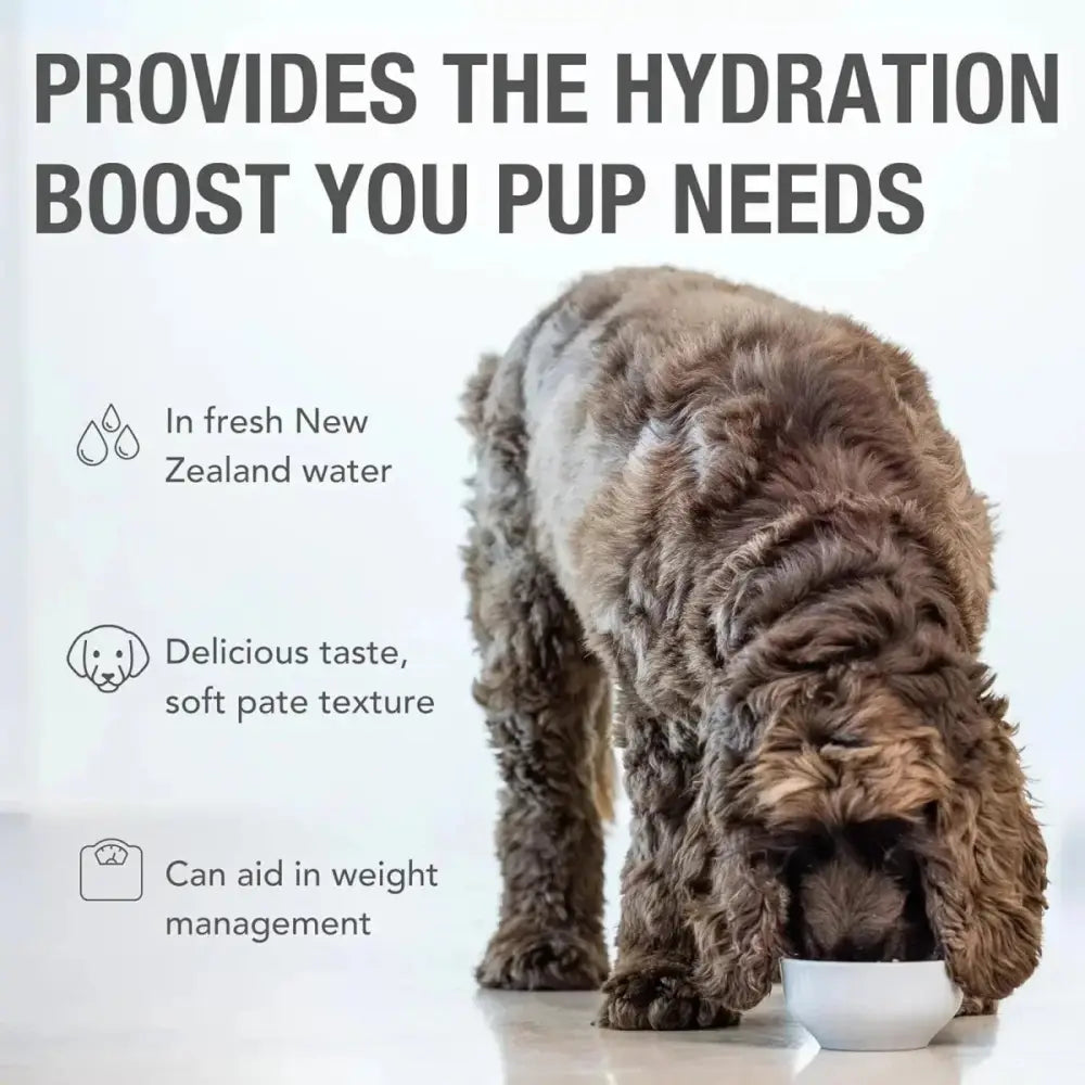 K9 Natural Lamb & King Salmon Grain - Free Canned Dog Food - Talis Us