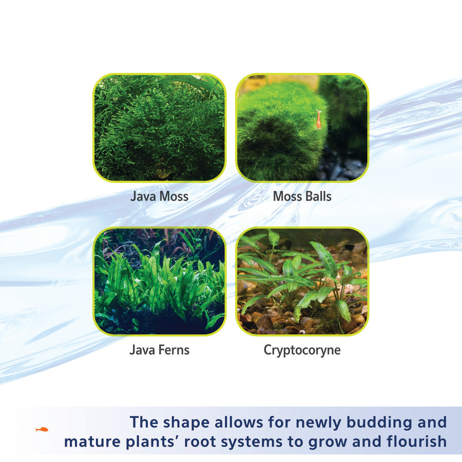 Aqueon Aquarium Substrate: Perfect Foundation for Thriving Plant & Shrimp Aquariums