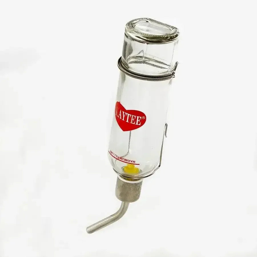 Kaytee Chew-Proof Water Bottle Clear Kaytee® CPD