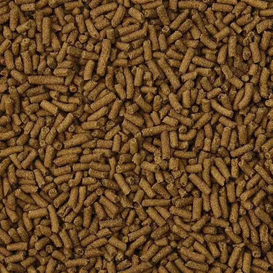 Kaytee Ferret Diet -- Turkey 1ea/4 lb Kaytee® CPD