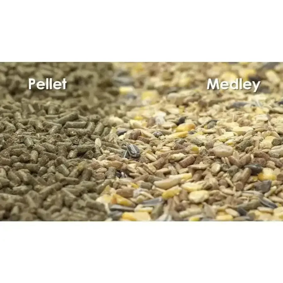 Kaytee Fiesta Ferret Food 2.5 lb Kaytee® CPD