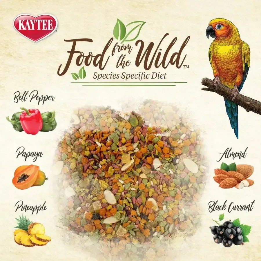 Kaytee Food from the Wild Conure 2.5 lb - Talis Us
