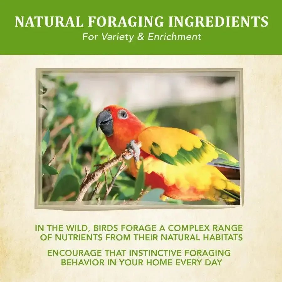 Kaytee Food from the Wild Conure 2.5 lb - Talis Us
