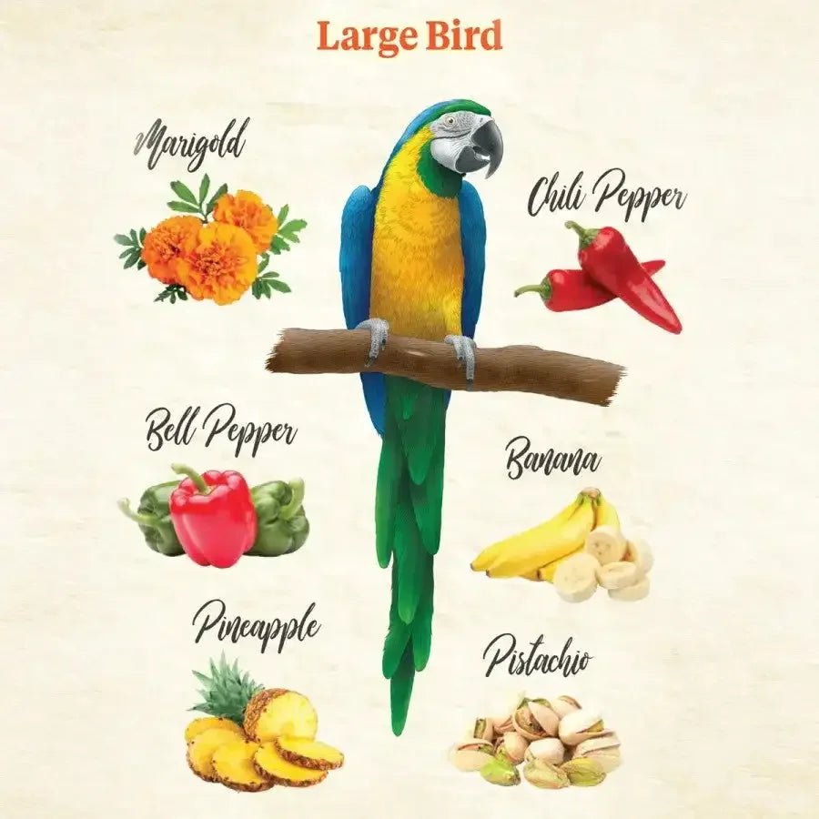Kaytee Food from the Wild Natural Snack Med/Lrg Pet Bird - Talis Us