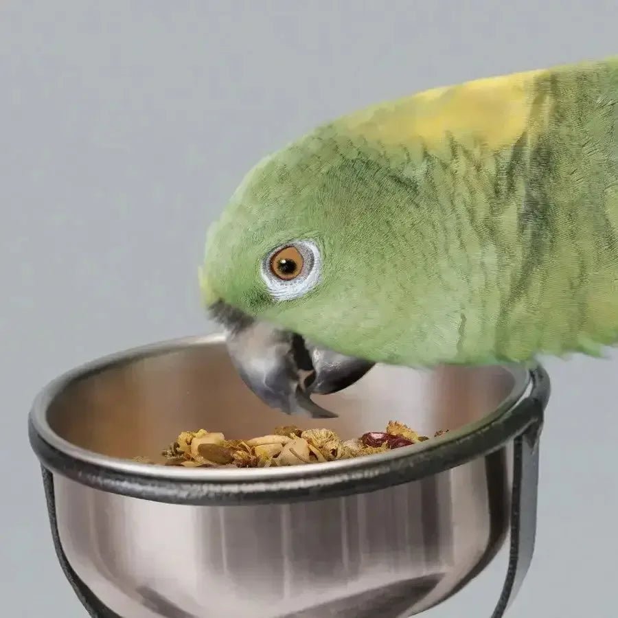 Kaytee Food from the Wild Natural Snack Med/Lrg Pet Bird - Talis Us