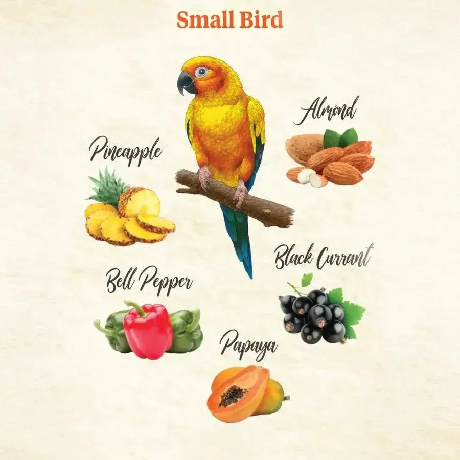 Kaytee Food From the Wild Natural Snack Small Pet Bird - Talis Us