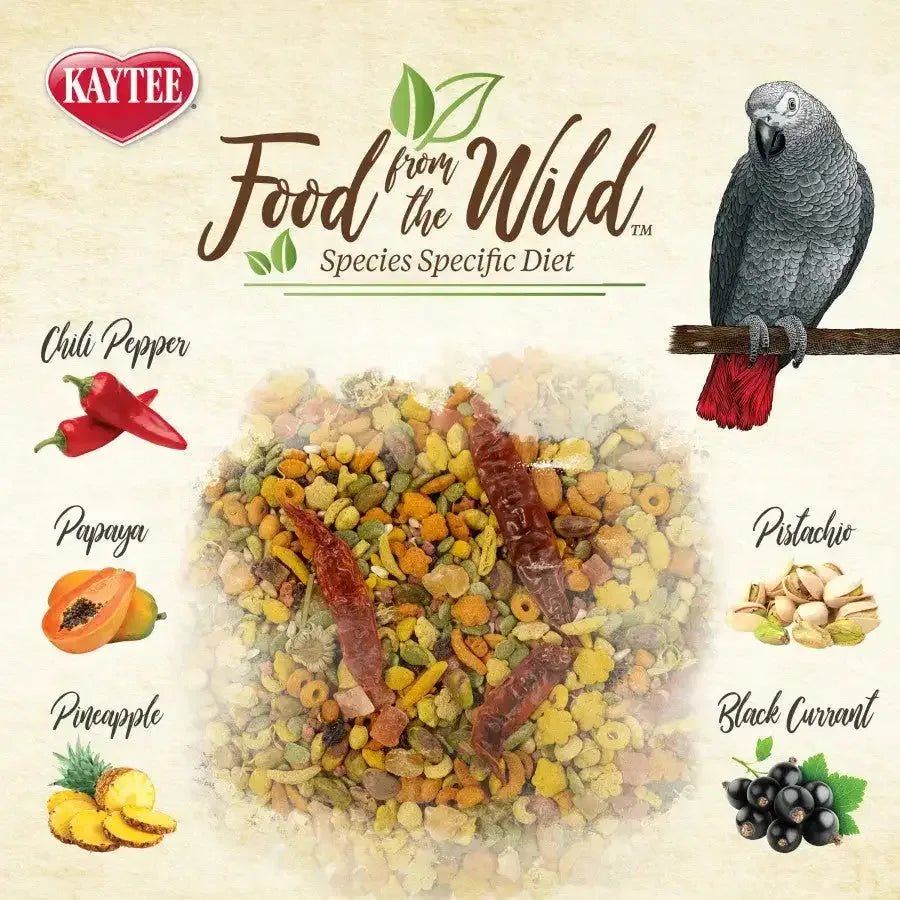 Kaytee Food from the Wild Parrot 2.5 lb - Talis Us