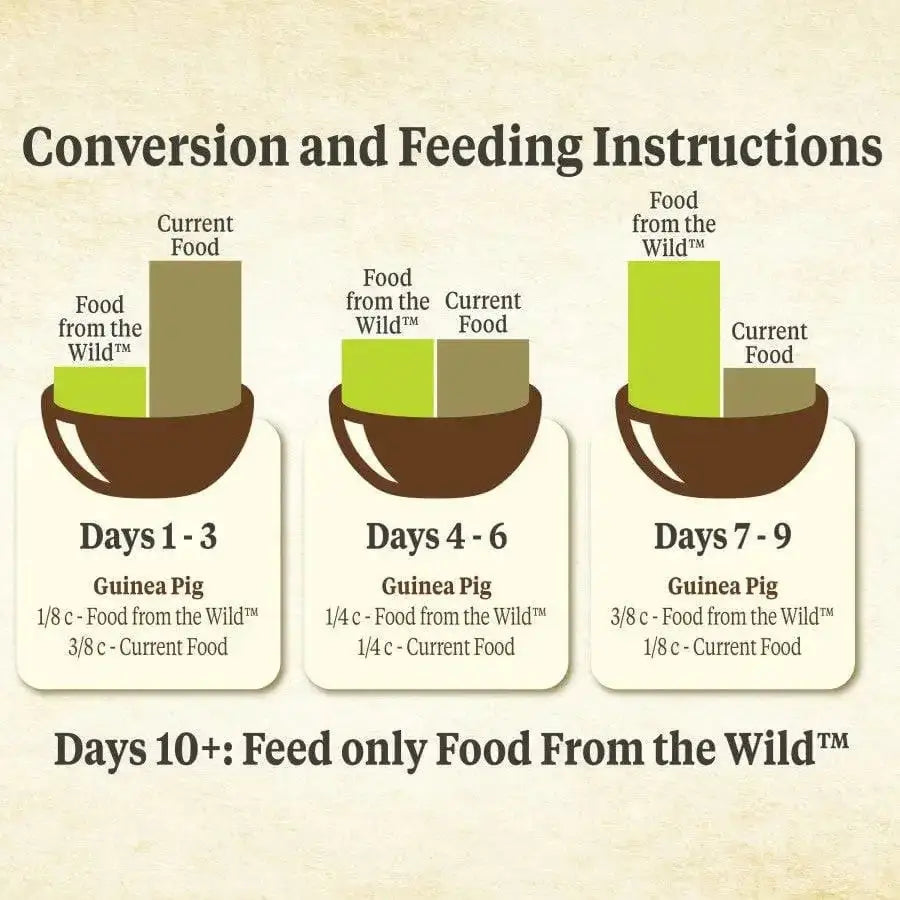 Kaytee Food From The Wild Guinea Pig 4 lb Kaytee® CPD