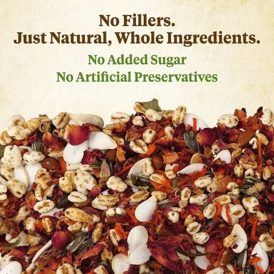 Kaytee Food From the Wild Natural Snack Hamster and Gerbil Food 2 oz Kaytee® CPD