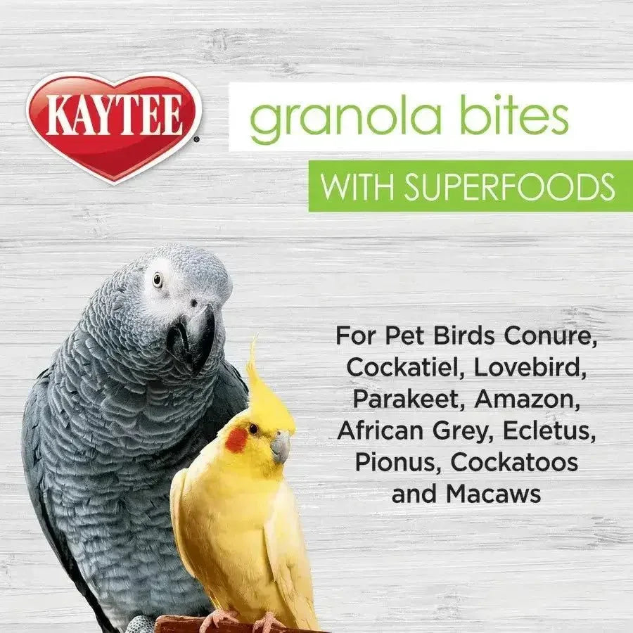 Kaytee Granola Bites Spinach and Kale Bird Treats - Talis Us