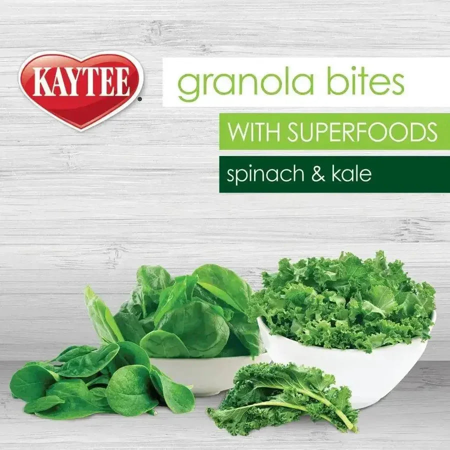 Kaytee Granola Bites Spinach and Kale Bird Treats - Talis Us