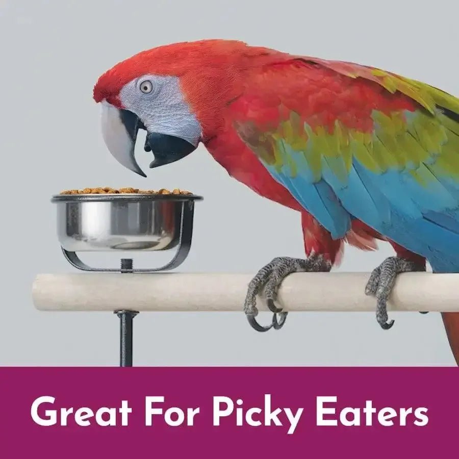 Kaytee NutriSoft Macaw & Cockatoo 3 lb - Talis Us