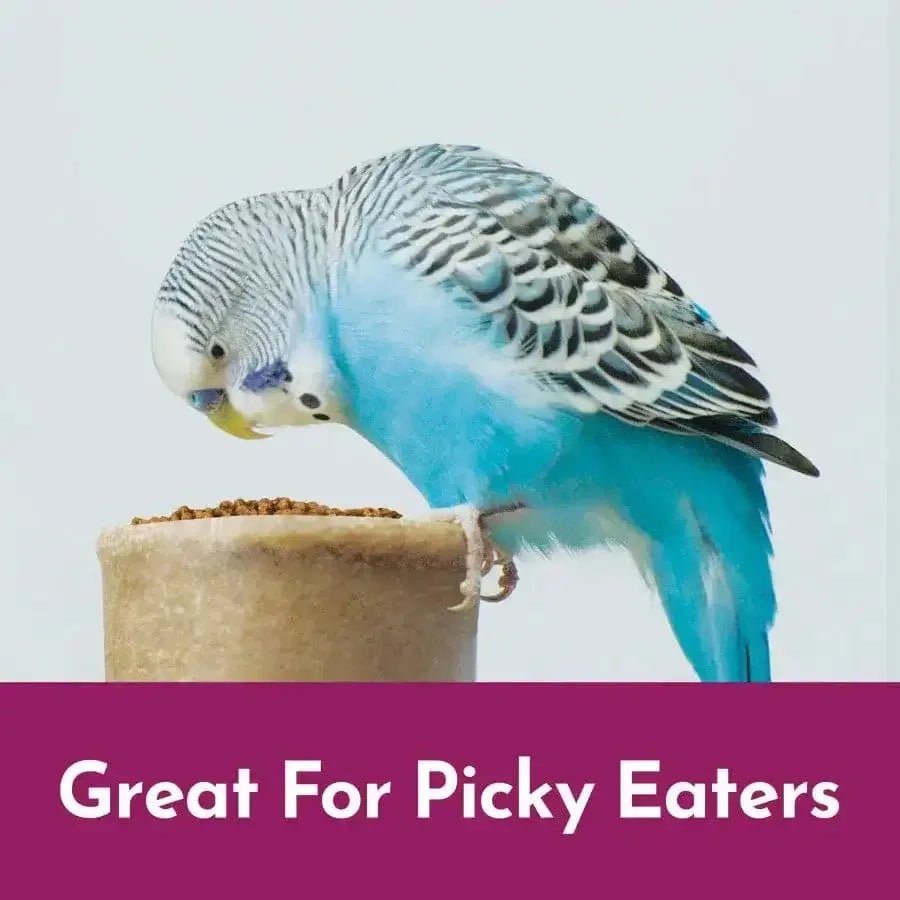 Kaytee NutriSoft Parakeet & Cockatiel 2 lb - Talis Us
