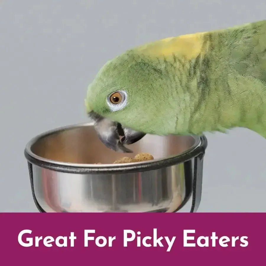 Kaytee NutriSoft Parrot & Conure 3 lb - Talis Us