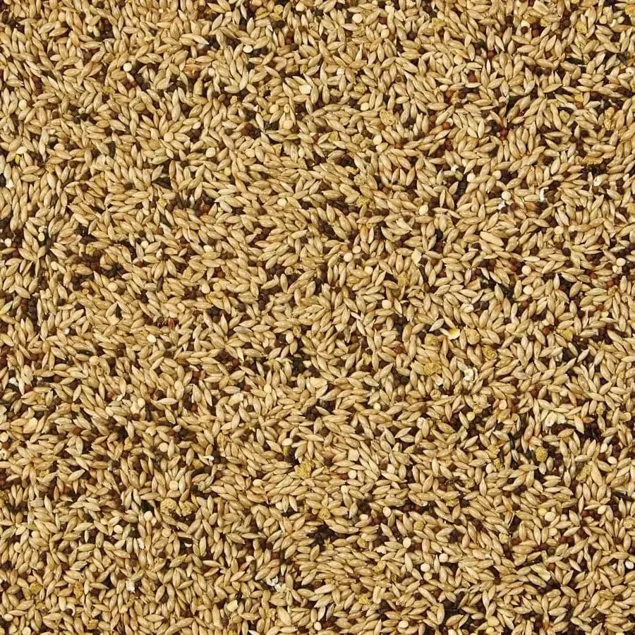 Kaytee Supreme Canary & Finch Food - Talis Us