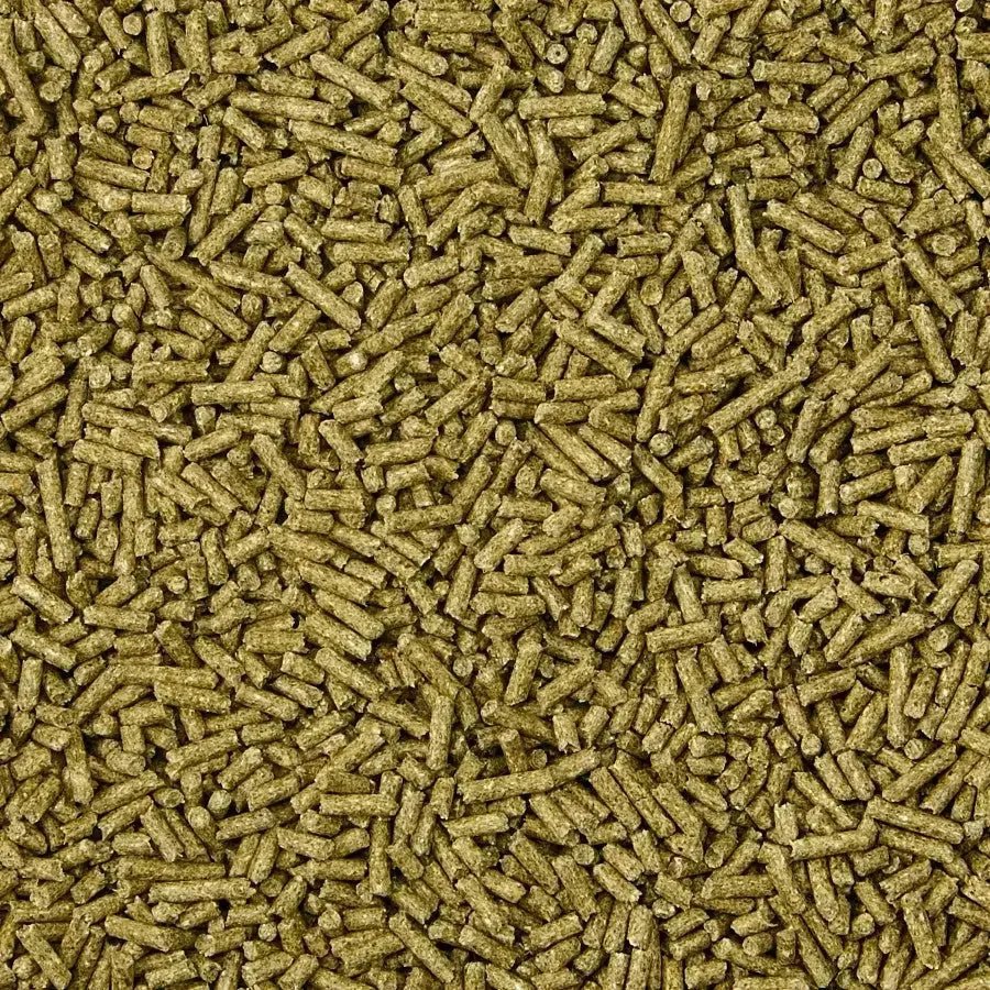 Kaytee Timothy Complete Chinchilla Food 3 lb - Talis Us