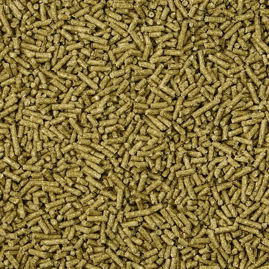 Kaytee Timothy Complete Chinchilla Food 3 lb Kaytee