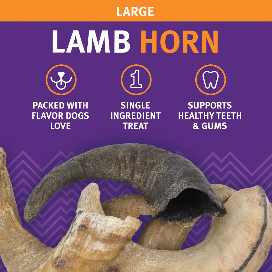 Large lamb horn dog chew with icons for single ingredient and dental health support.
