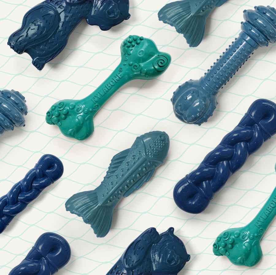 Nylabone Power Chew Love Our Oceans Barbell Dog Chew Toy