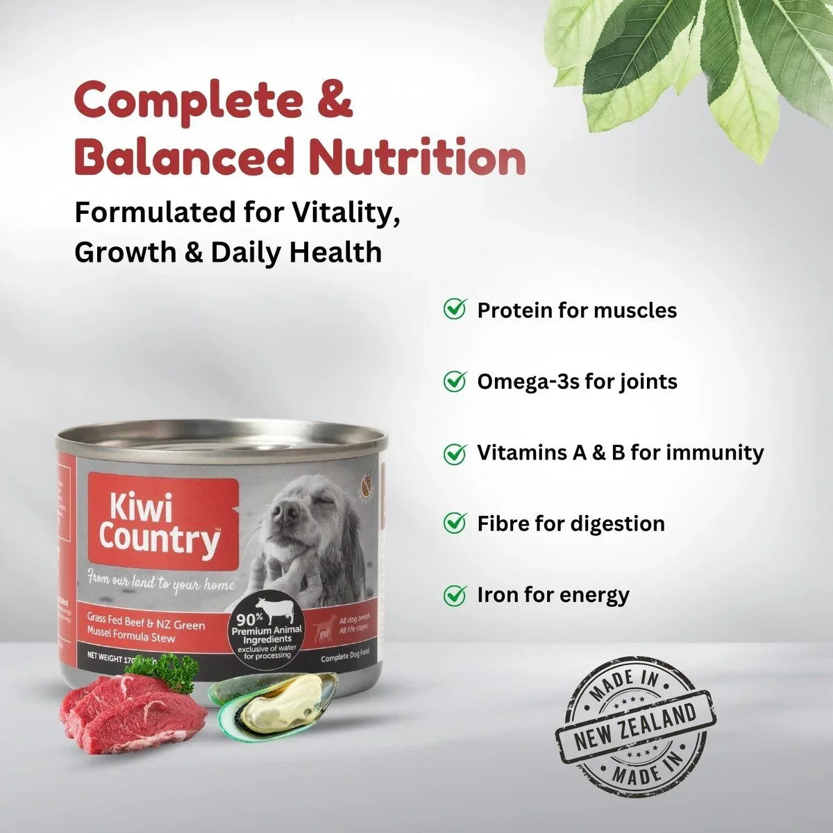 Kiwi Country Beef & NZ Green Mussel Wet Dog Food 24ea/6 oz - Talis Us