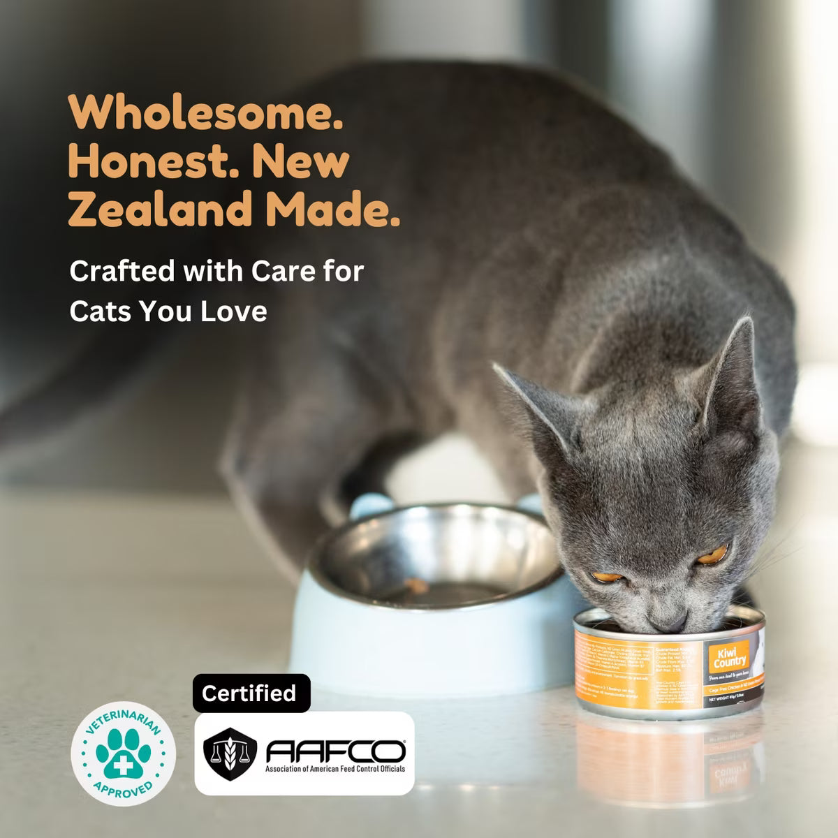 Kiwi Country chicken wet cat food in a bowl with a gray cat enjoying the meal