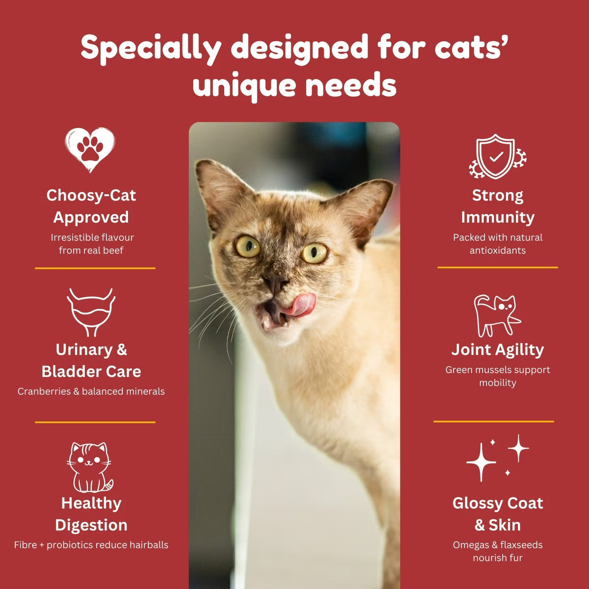 Kiwi Country grain free beef cat food with natural antioxidants for healthy digestion and strong immunity