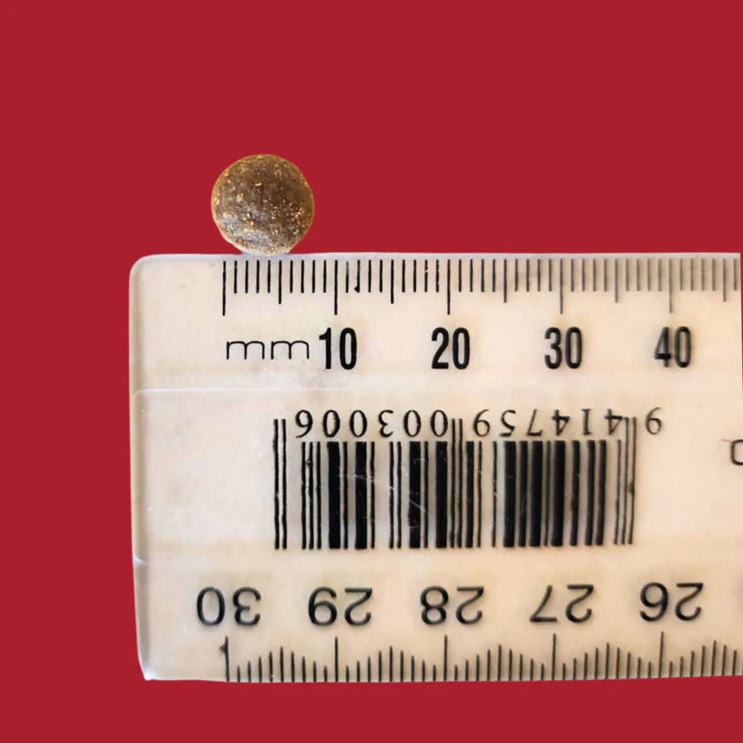 Kiwi Country grain free beef cat food kibble on a measuring tape for portioning