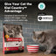 Kiwi Country grain free beef cat food in a red bag with a gray cat beside a bowl