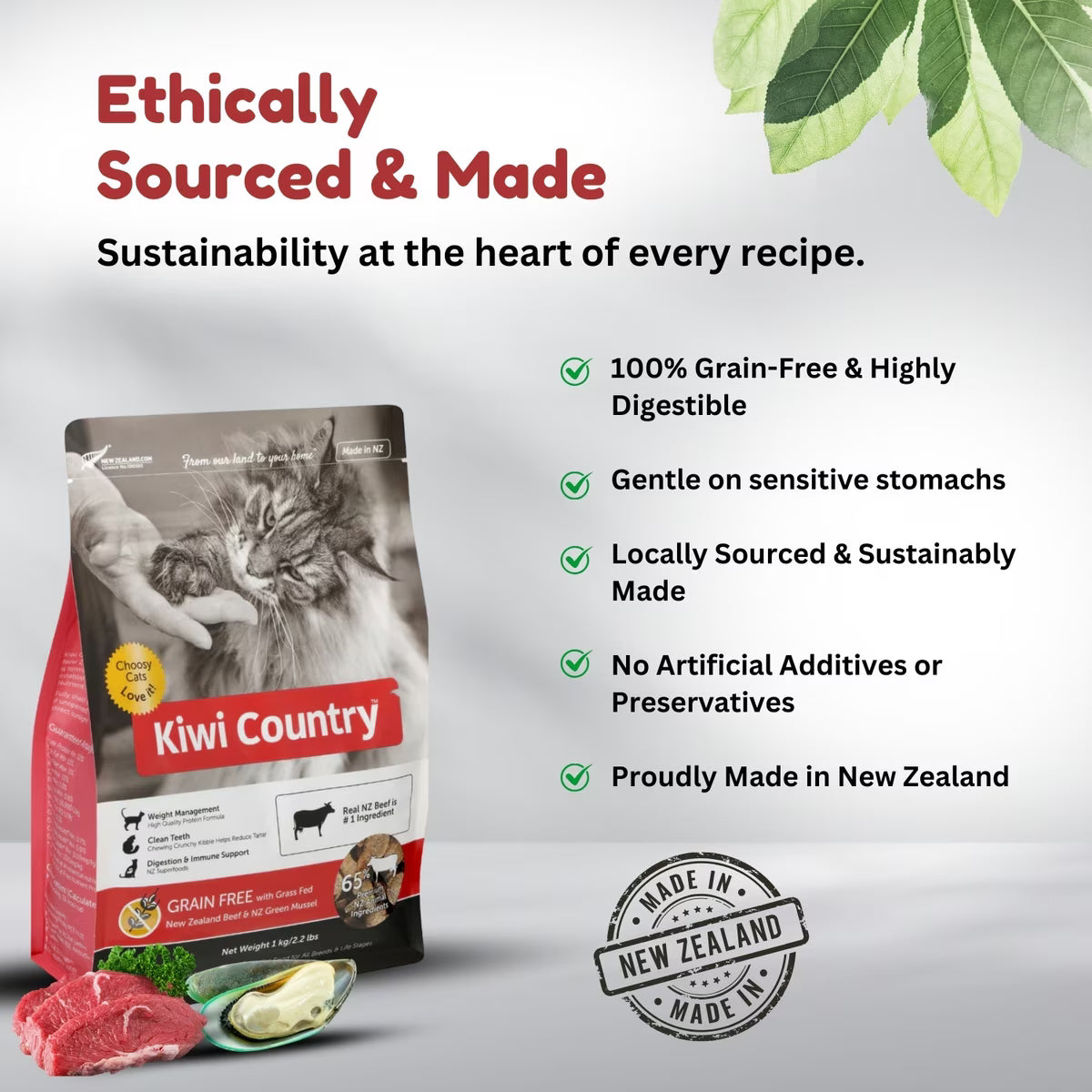 Kiwi Country grain free beef cat food with high digestibility for sensitive stomachs