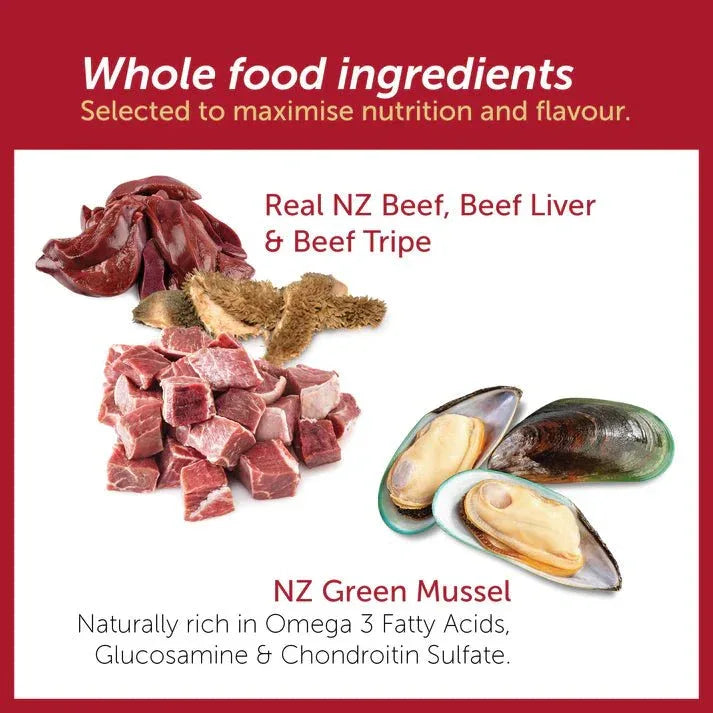Kiwi Country Grain - Free Beef Dry Dog Food 4.4 lb - Talis Us