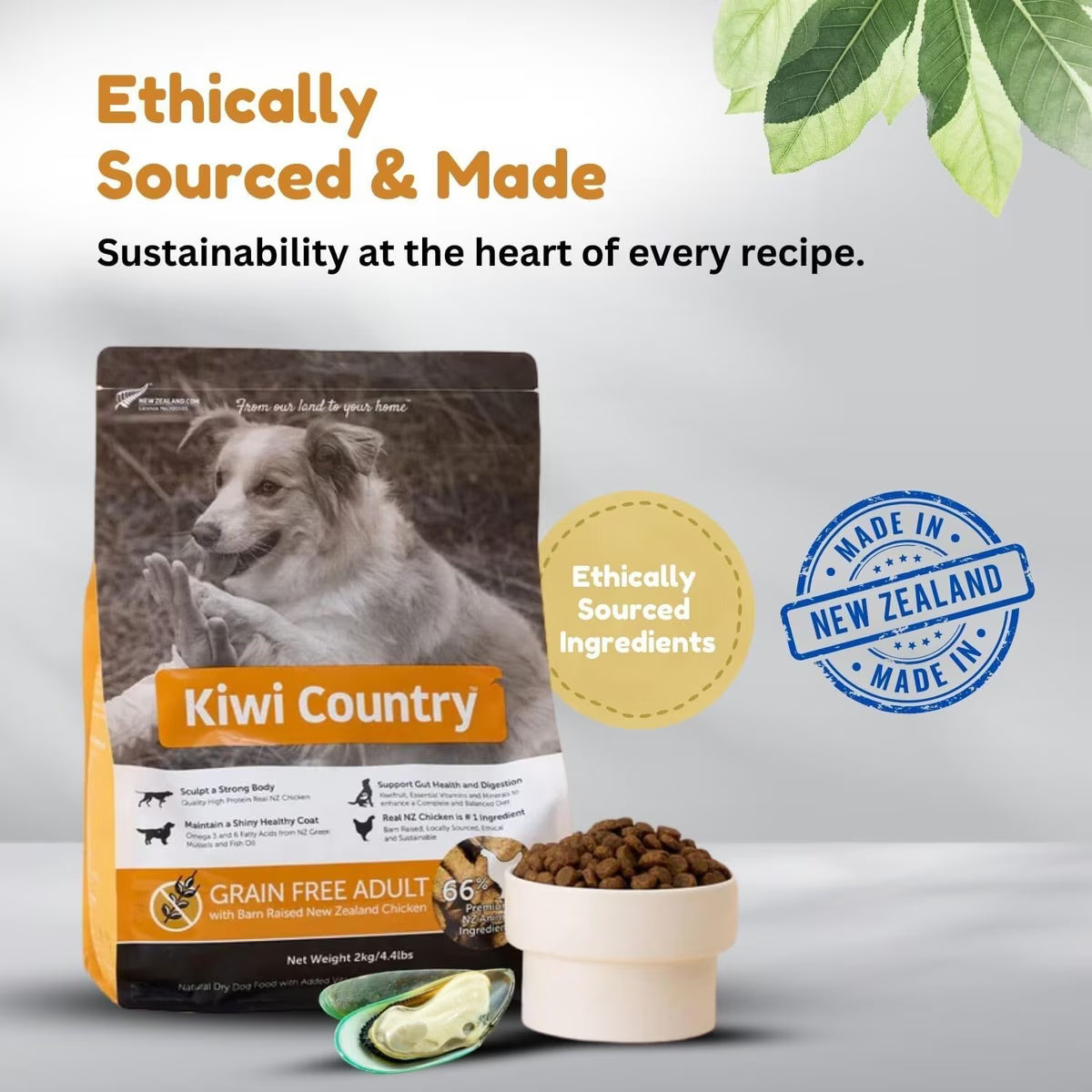 Kiwi Country grain free chicken dog food in a 4.5 lb bag with ethically sourced ingredients