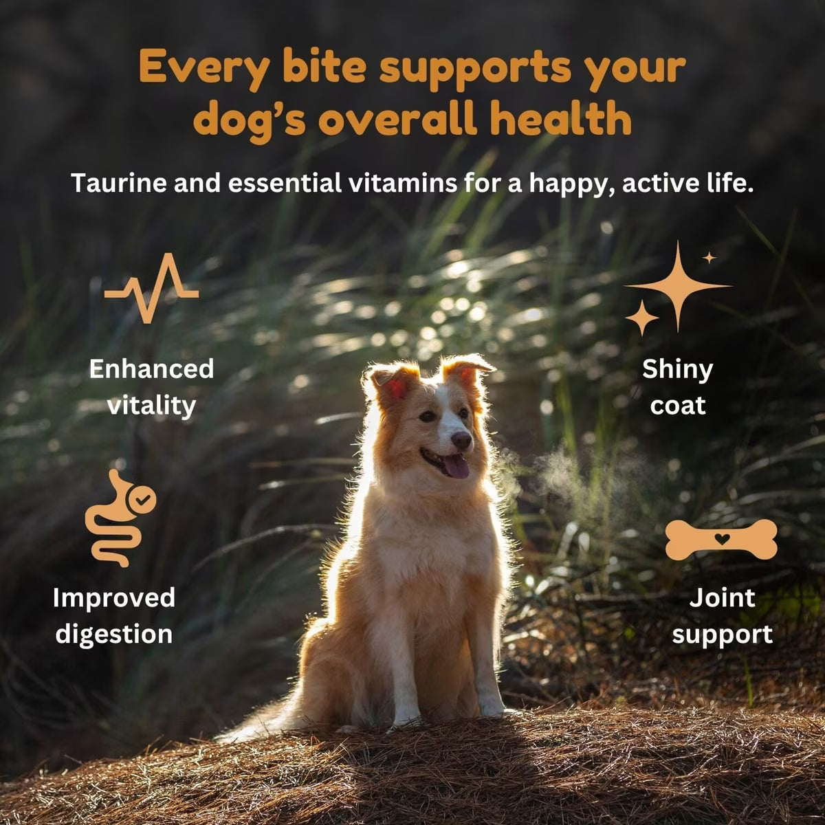 Kiwi Country grain free chicken dog food promoting shiny coat and overall health for dogs