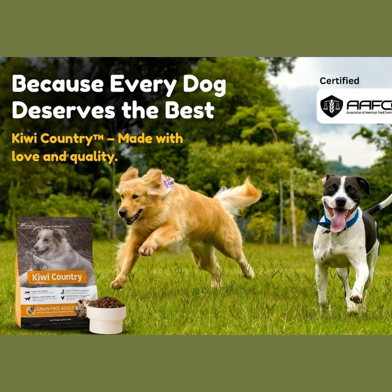 Kiwi Country grain free chicken dog food with happy dogs playing outdoors