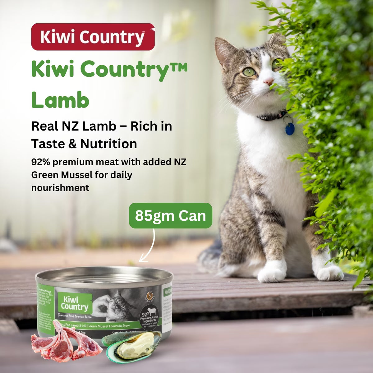 Kiwi Country grain free lamb cat food in 85gm can with real NZ lamb and added green mussel for cats