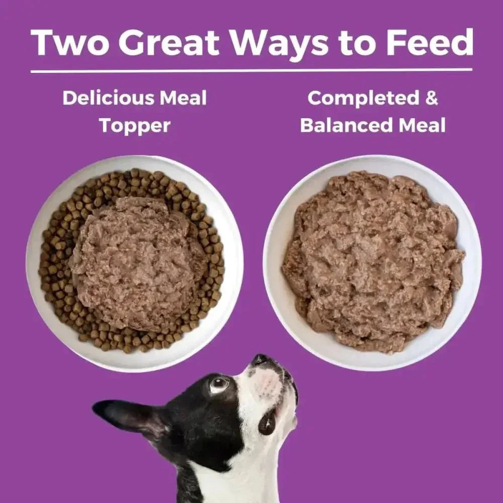 KOHA Limited Ingredient Diet Kangaroo Entrée Wet Dog Food 12ea/13 oz - Talis Us