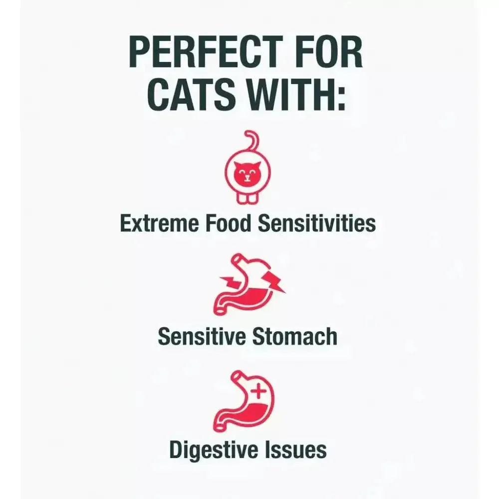 KOHA Limited Ingredient Diet Turkey Pâté Wet Cat Food - Talis Us