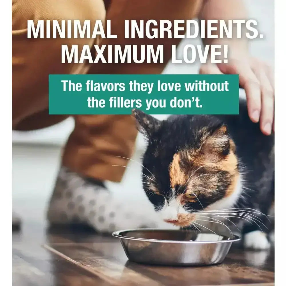 KOHA Minimal Ingredient Chicken Stew Wet Cat Food 5.5 oz Case of 24 KOHA