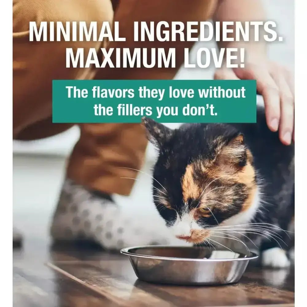 KOHA Poké Bowl Tuna & Lamb Entrée in Gravy for Cats - Talis Us