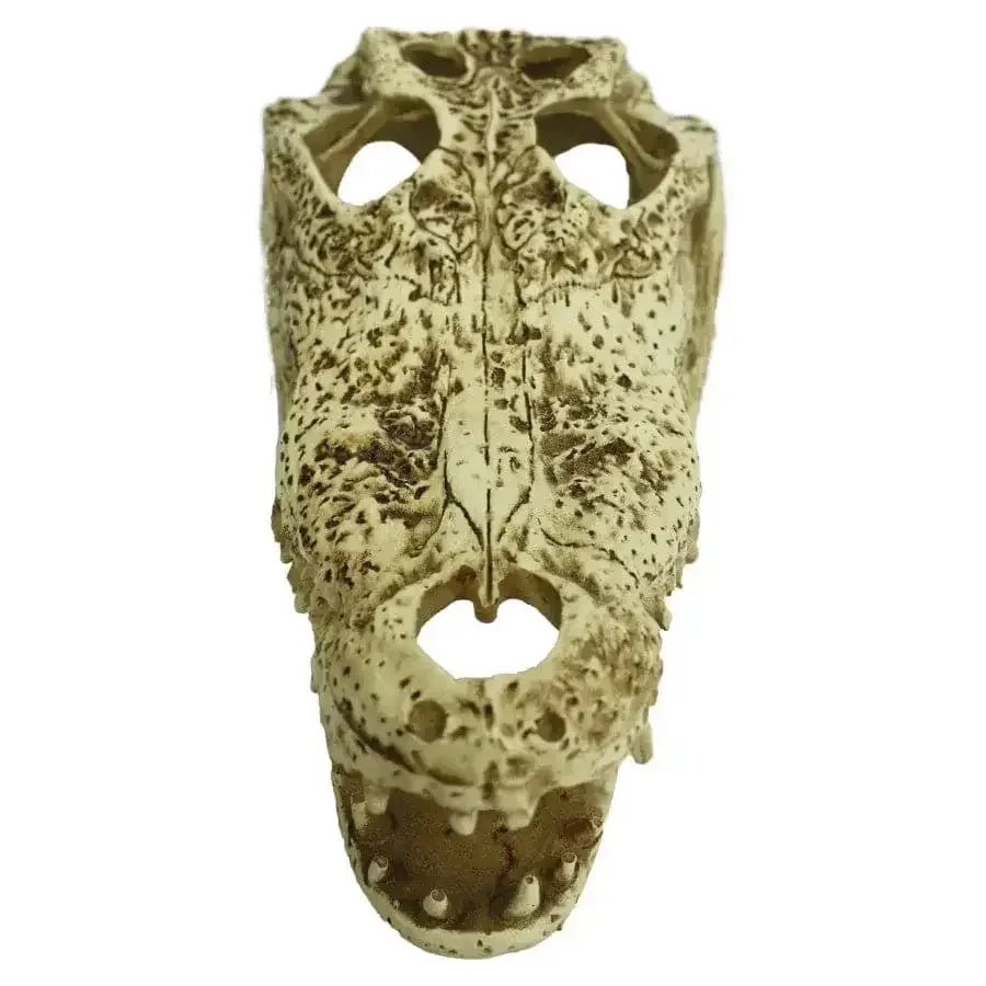 Komodo Alligator Skull Hideout 9 in - Talis Us