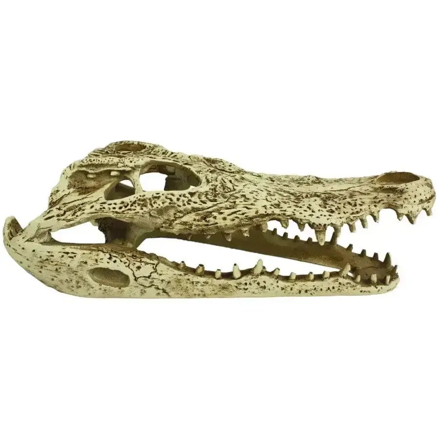 Komodo Alligator Skull Hideout 9 in - Talis Us