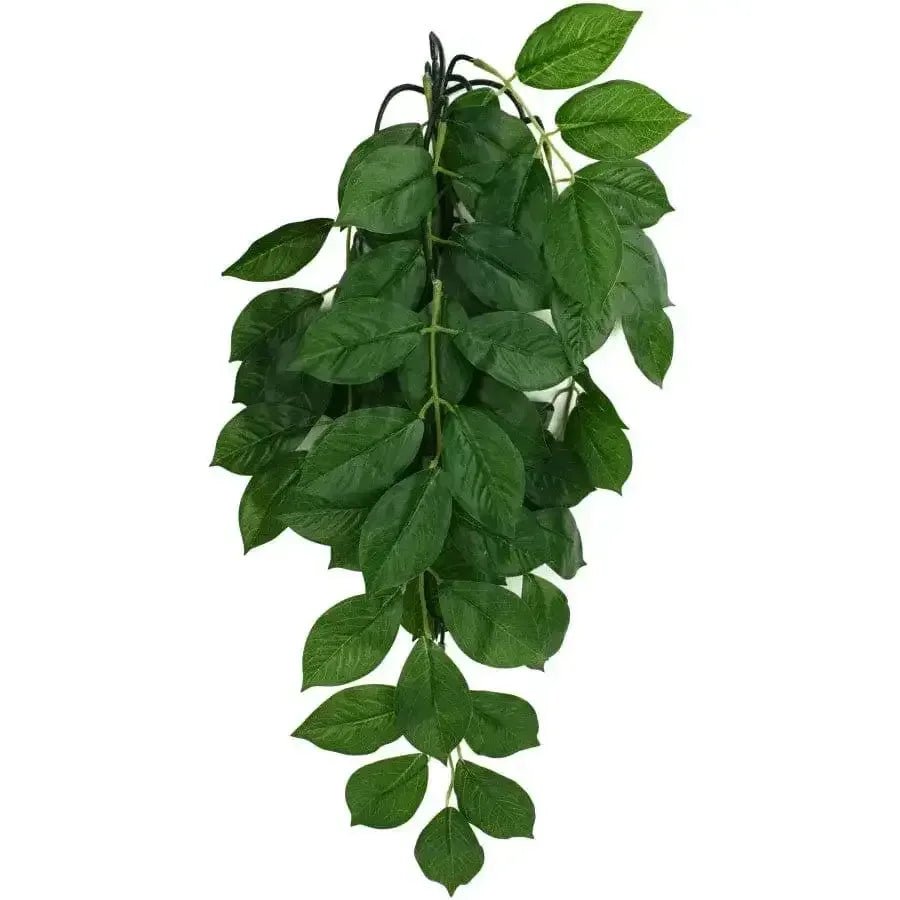 Komodo Green Leaf Hanging Plant - Talis Us